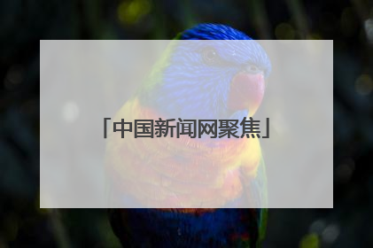 中国新闻网聚焦