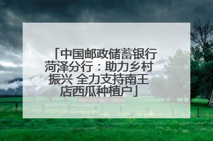 中国邮政储蓄银行菏泽分行：助力乡村振兴 全力支持南王店西瓜种植户