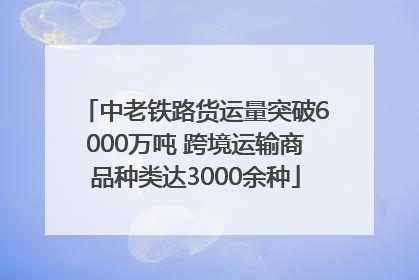 中老铁路货运量突破6000万吨 跨境运输商品种类达3000余种