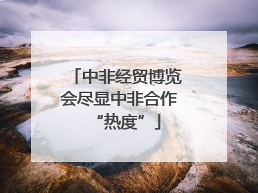 中非经贸博览会尽显中非合作“热度”