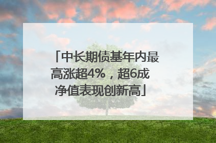 中长期债基年内最高涨超4%，超6成净值表现创新高