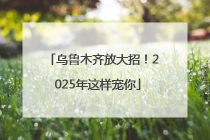 乌鲁木齐放大招！2025年这样宠你
