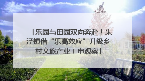 乐园与田园双向奔赴！朱泾镇借“乐高效应”升级乡村文旅产业〡申观察