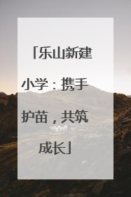 乐山新建小学：携手护苗，共筑成长