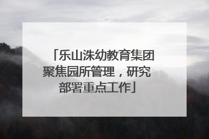 乐山洙幼教育集团聚焦园所管理，研究部署重点工作