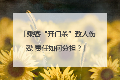 乘客“开门杀”致人伤残 责任如何分担？