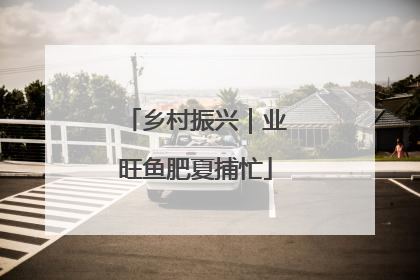 乡村振兴｜业旺鱼肥夏捕忙