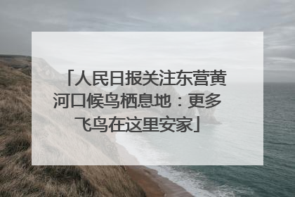 人民日报关注东营黄河口候鸟栖息地：更多飞鸟在这里安家