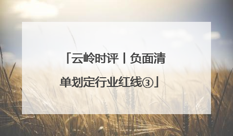 云岭时评丨负面清单划定行业红线③