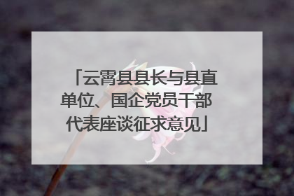 云霄县县长与县直单位、国企党员干部代表座谈征求意见
