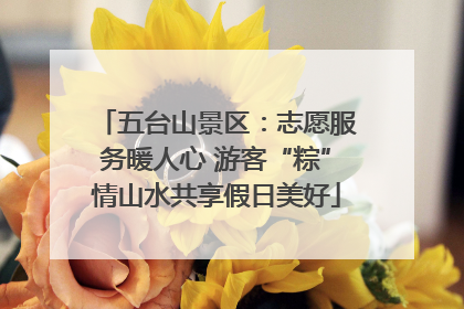 五台山景区：志愿服务暖人心 游客“粽”情山水共享假日美好