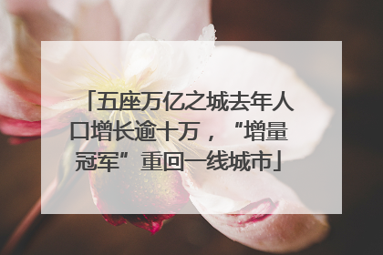 五座万亿之城去年人口增长逾十万，“增量冠军”重回一线城市