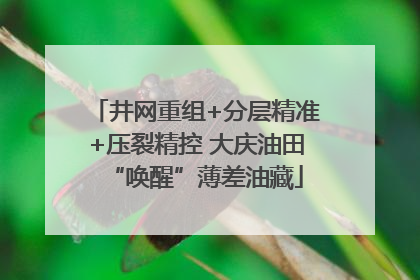 井网重组+分层精准+压裂精控 大庆油田“唤醒”薄差油藏