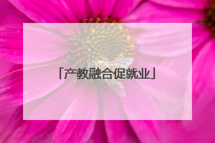 产教融合促就业
