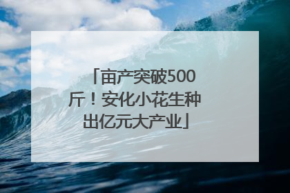 亩产突破500斤！安化小花生种出亿元大产业