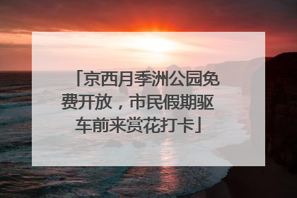 京西月季洲公园免费开放，市民假期驱车前来赏花打卡