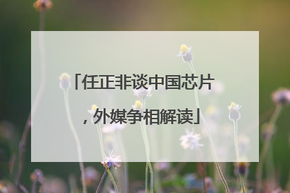 任正非谈中国芯片，外媒争相解读