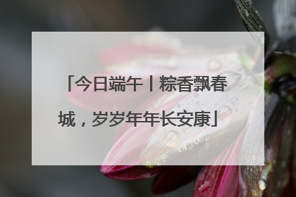 今日端午丨粽香飘春城，岁岁年年长安康