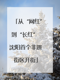 从“网红”到“长红” 沈阳首个非遗街区开街