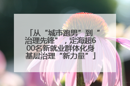 从“城市跑男”到“治理先锋”，定海超600名新就业群体化身基层治理“新力量”