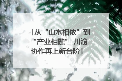 从“山水相依”到“产业相融” 川渝协作再上新台阶