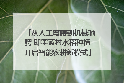 从人工弯腰到机械驰骋 即墨蓝村水稻种植开启智能农耕新模式