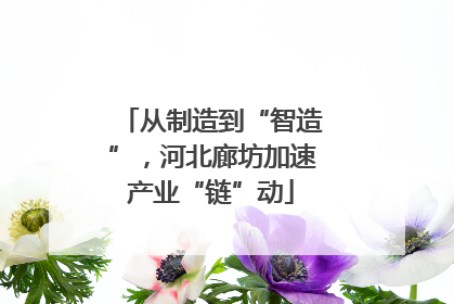从制造到“智造”，河北廊坊加速产业“链”动