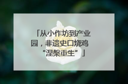 从小作坊到产业园，非遗史口烧鸡“涅槃重生”