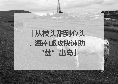 从枝头甜到心头，海南邮政快速助“荔”出岛