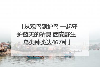 从观鸟到护鸟 一起守护蓝天的精灵 西安野生鸟类种类达467种