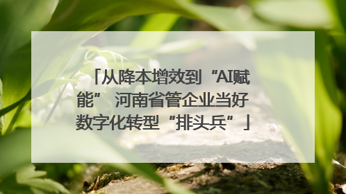 从降本增效到“AI赋能” 河南省管企业当好数字化转型“排头兵”