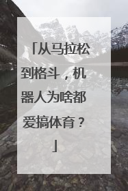 从马拉松到格斗，机器人为啥都爱搞体育？
