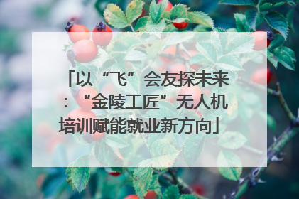 以“飞”会友探未来：“金陵工匠”无人机培训赋能就业新方向