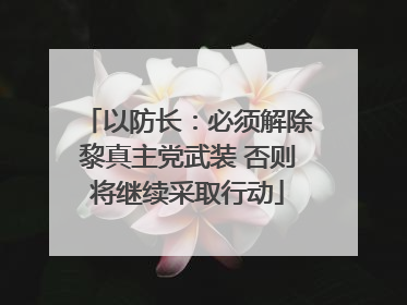 以防长：必须解除黎真主党武装 否则将继续采取行动