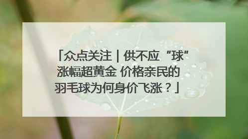 众点关注｜供不应“球” 涨幅超黄金 价格亲民的羽毛球为何身价飞涨？