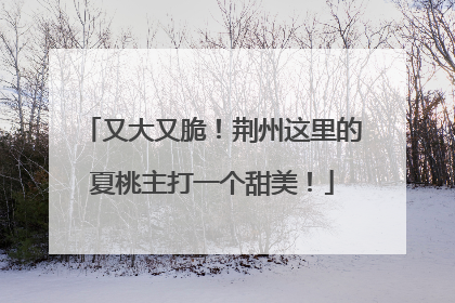 又大又脆！荆州这里的夏桃主打一个甜美！
