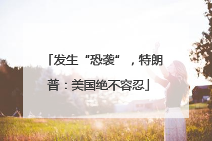 发生“恐袭”，特朗普：美国绝不容忍