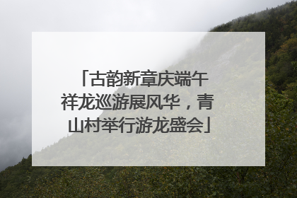 古韵新章庆端午 祥龙巡游展风华，青山村举行游龙盛会