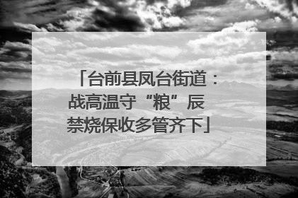 台前县凤台街道：战高温守“粮”辰 禁烧保收多管齐下