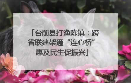 台前县打渔陈镇：跨省联建架通“连心桥” 惠及民生促振兴