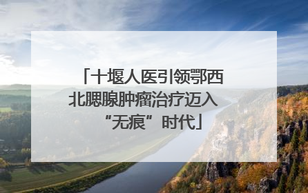 十堰人医引领鄂西北腮腺肿瘤治疗迈入“无痕”时代