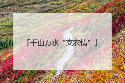 千山万水“支农情”