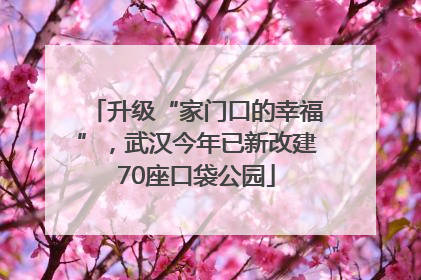 升级“家门口的幸福”，武汉今年已新改建70座口袋公园