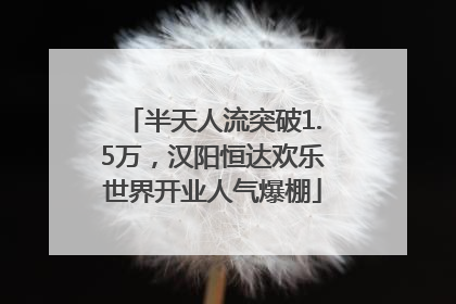 半天人流突破1.5万，汉阳恒达欢乐世界开业人气爆棚
