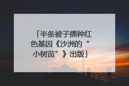 半条被子播种红色基因《沙洲的“小树苗”》出版
