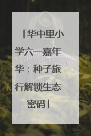 华中里小学六一嘉年华：种子旅行解锁生态密码