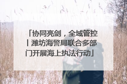 协同亮剑，全域管控丨潍坊海警局联合多部门开展海上执法行动