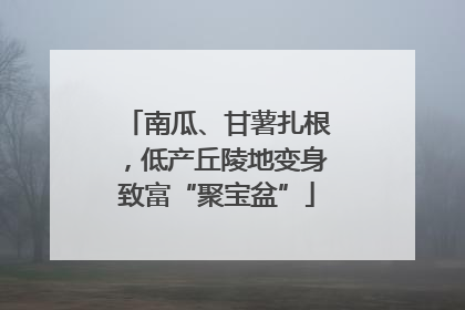 南瓜、甘薯扎根，低产丘陵地变身致富“聚宝盆”