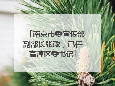 南京市委宣传部副部长张政，已任高淳区委书记