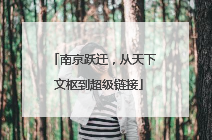 南京跃迁，从天下文枢到超级链接